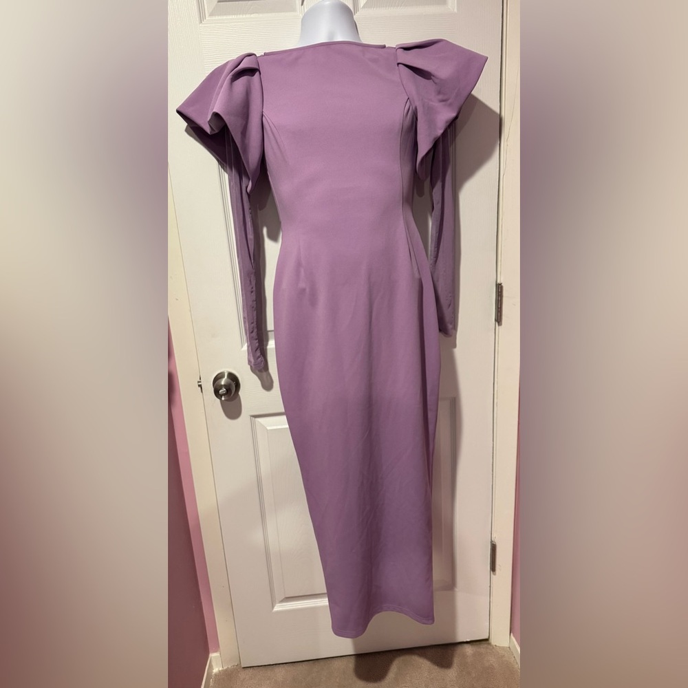 Gown: Elegant Purple Women's Dress Sheer long Sleeve Back Slip Back Zipper Large